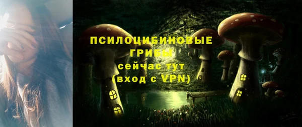 apvp Белокуриха