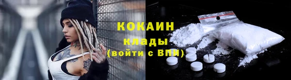 apvp Белокуриха