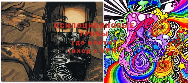 apvp Белокуриха