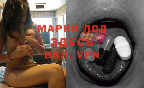 apvp Белокуриха