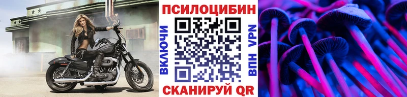 Галлюциногенные грибы Psilocybe  купить закладку  Афипский 